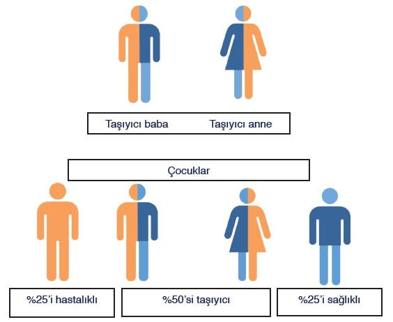 Akraba Evlilikleri