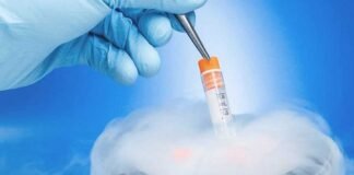 Tüp Bebek Tedavisinde Embriyo Dondurma: Avantajları ve Dezavantajları