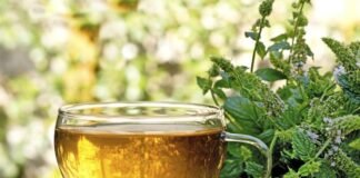 Gebelikte Bitki Çayları: Hangi Çaylar Güvenli? Hangilerinden Kaçınılmalı?